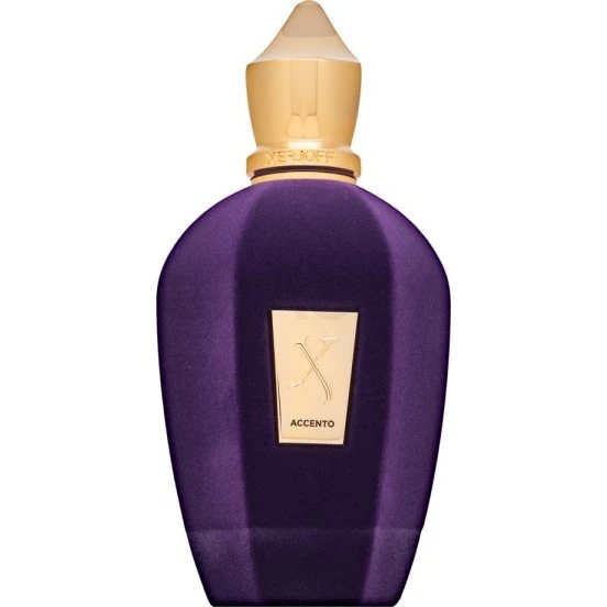Xerjoff Accent Eau de Parfum 100 ml