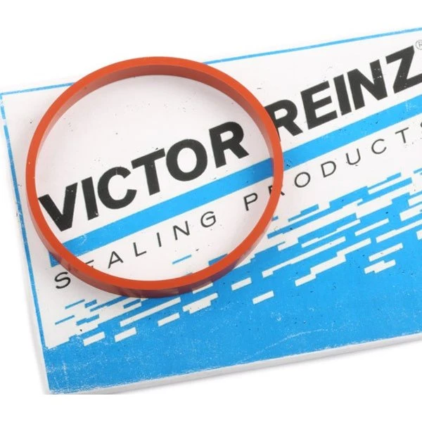 REINZ Indsugningsmanifoldpakning 71-17370-00
