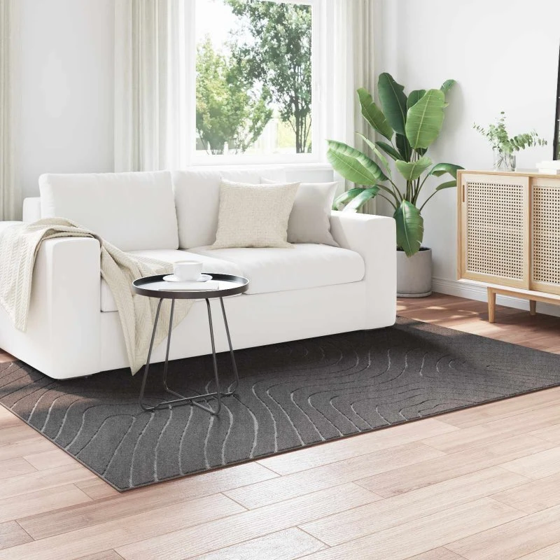 Områdetæppe Palmeras Antracit 170x120 cm