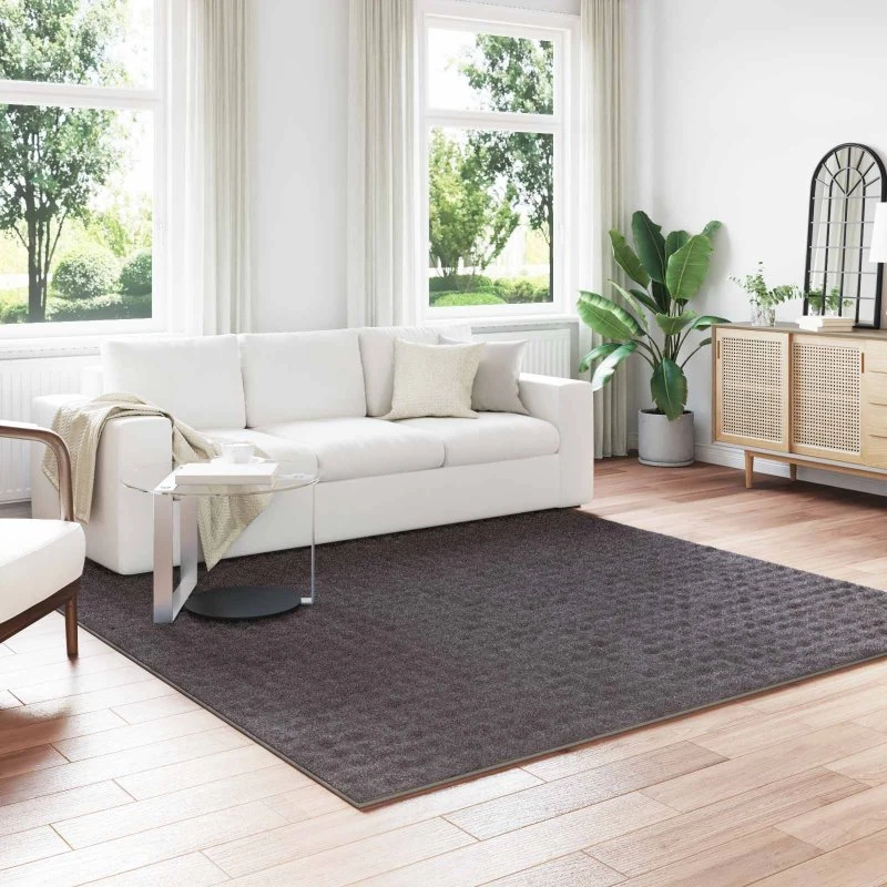 Områdetæppe SIROLO Antracit 240x240 cm