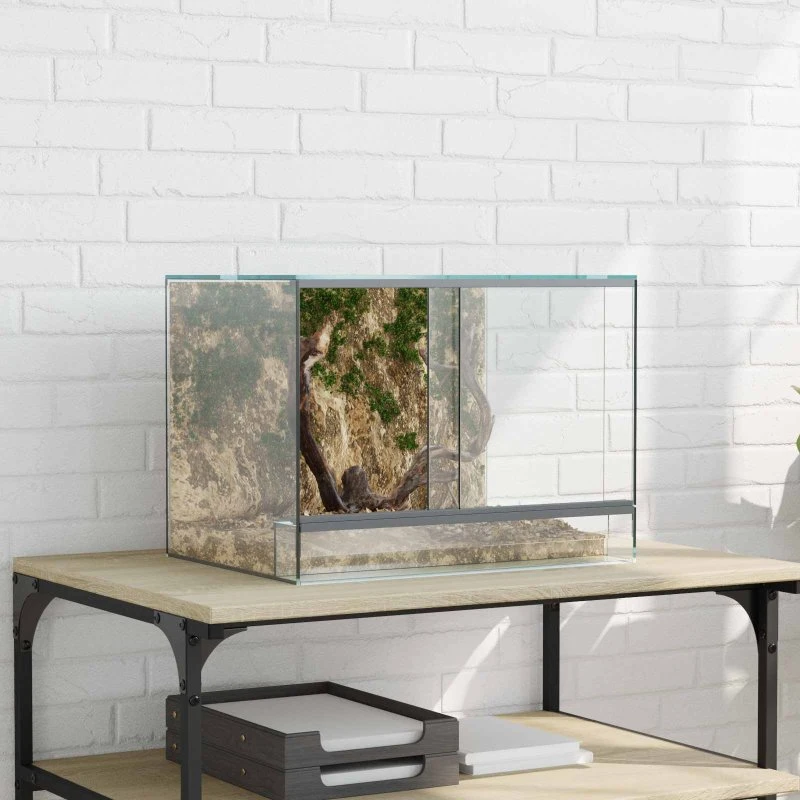 Glas terrarium 40 x 30 x 30 cm – transparent med opbevaring
