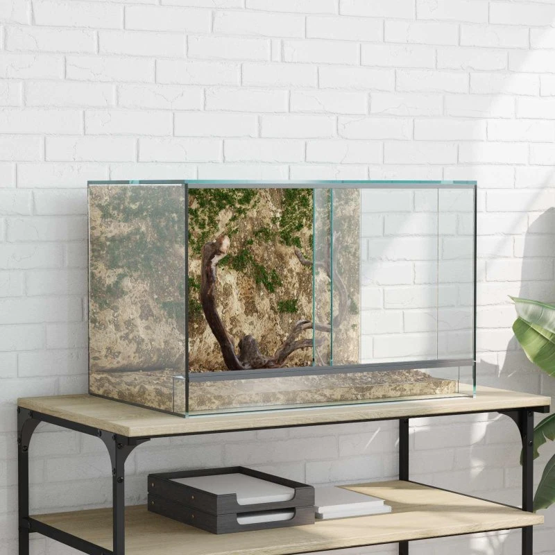 Glas terrarium 60x40x40 cm – transparent habitat