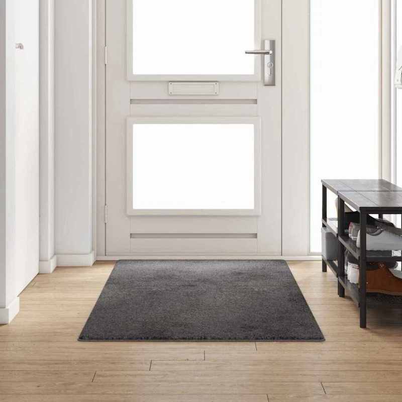 Tæppe Runner Grå 100x250 cm – 100% Polypropylen