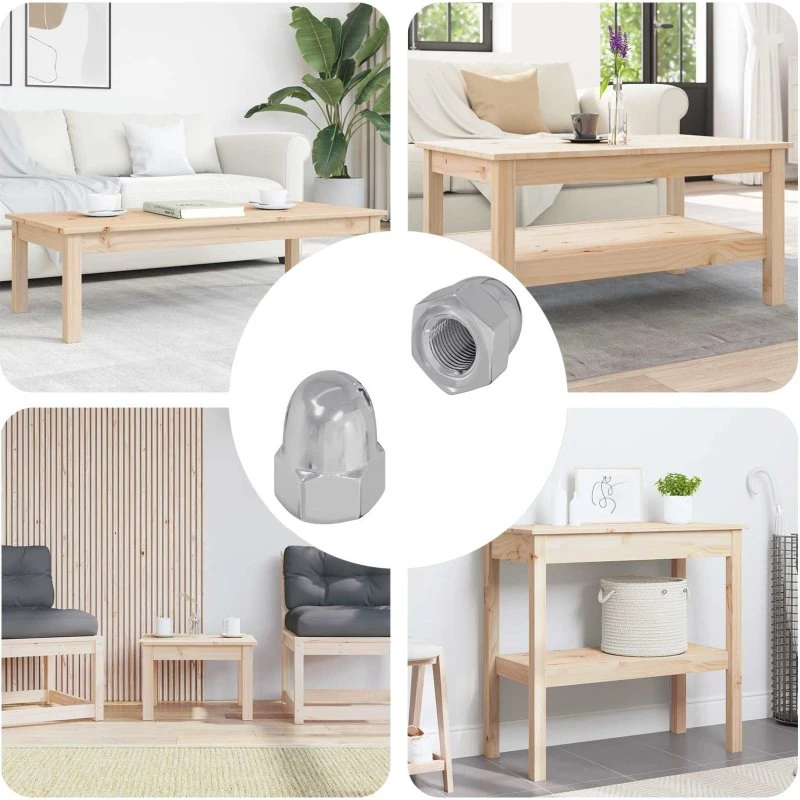 Skruen kapmøtrik 2 stk Sølv M6 x 10 mm, jern