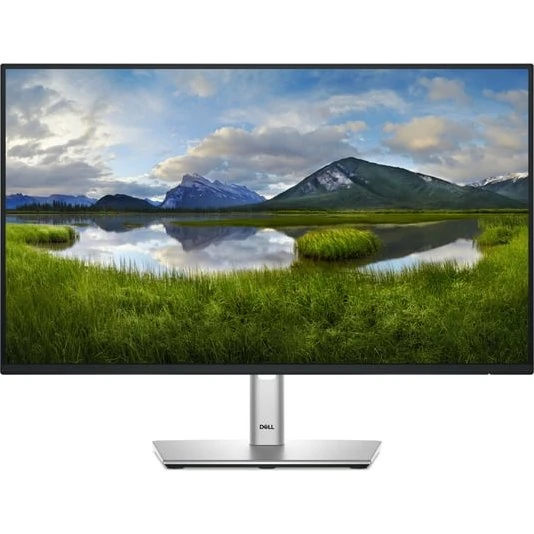 Dell P2425HE 24" USB-C Skærm, Sort