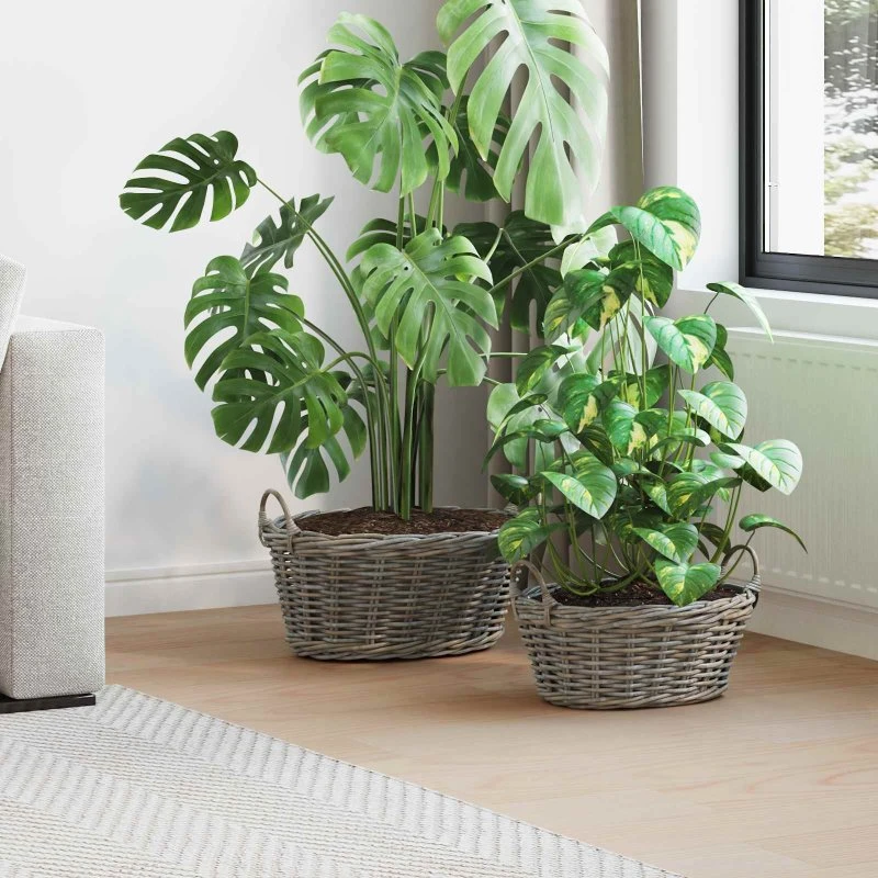 vidaXL Plantekurv med opbevaring 2 stk Grå Lacak Rattan