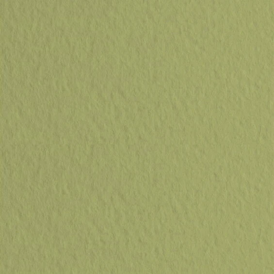 Fabriano Tiziano kunstnerpapir 50×65 cm 160 g/m² – Muschio