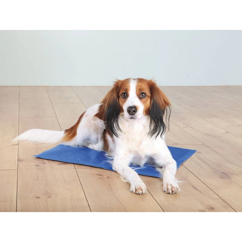 Trixie Kølemåtte til hund 90x50 cm, blå