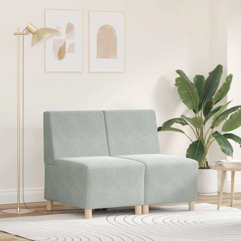 vidaXL Modulsofa Enhed Uden Arme 2 stk Lysegrå 55 x 74 x 82 cm Fløjl