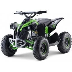 EL ATV Renegade Brushless 1060W Kardan (til børn)