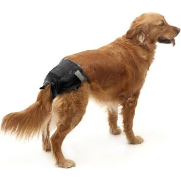 Savic Comfort Nappy hundeble, sort (engangs)