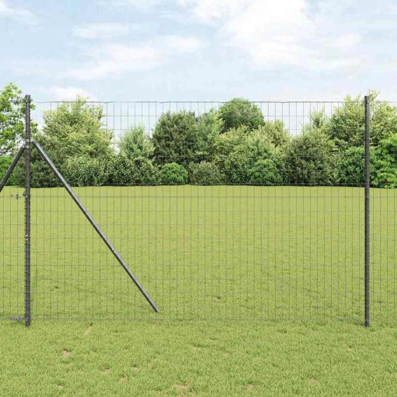 vidaXL Euro Hejn Grå 1,6 x 10 m PVC-belagt jern