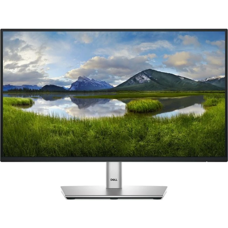 Dell P2225H 22" Full HD IPS 100 Hz, Sort/Sølv