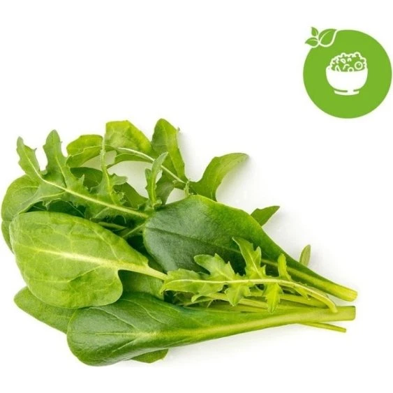 Click & Grow Smart Garden Refill 9-pak Grøn Sallad Mix