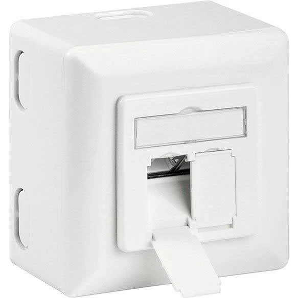 Goobay 68572 Cat6a 2x RJ45 Hvid Stikkontakt