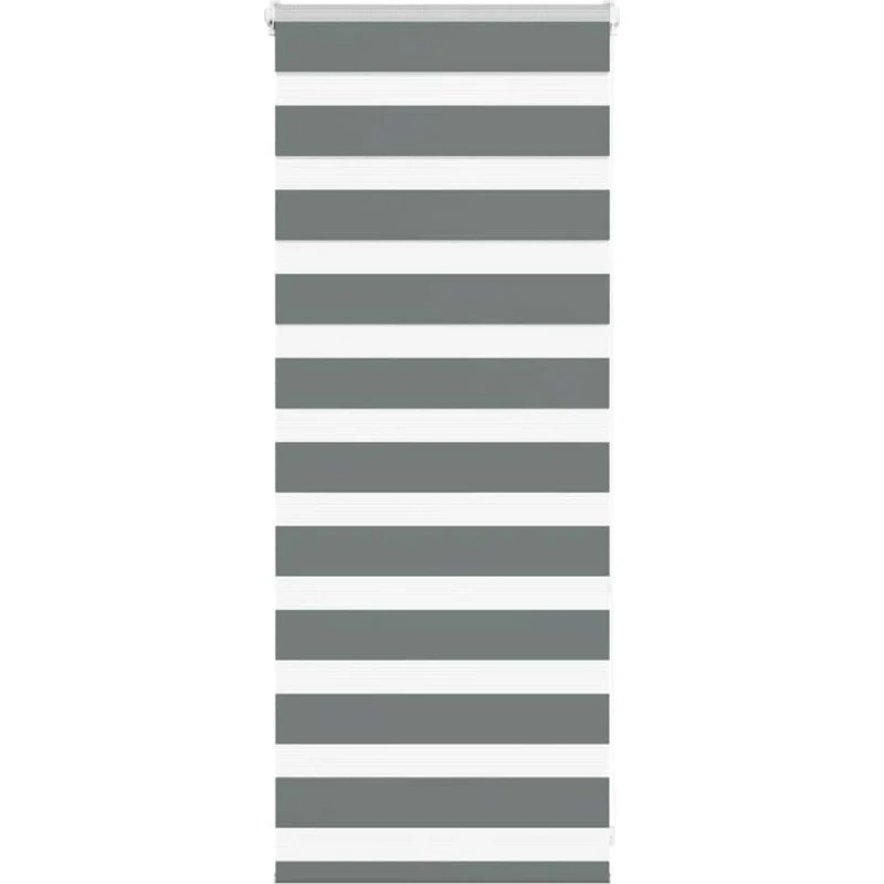 vidaXL Zebragardin mørkegrå 55x100 cm
