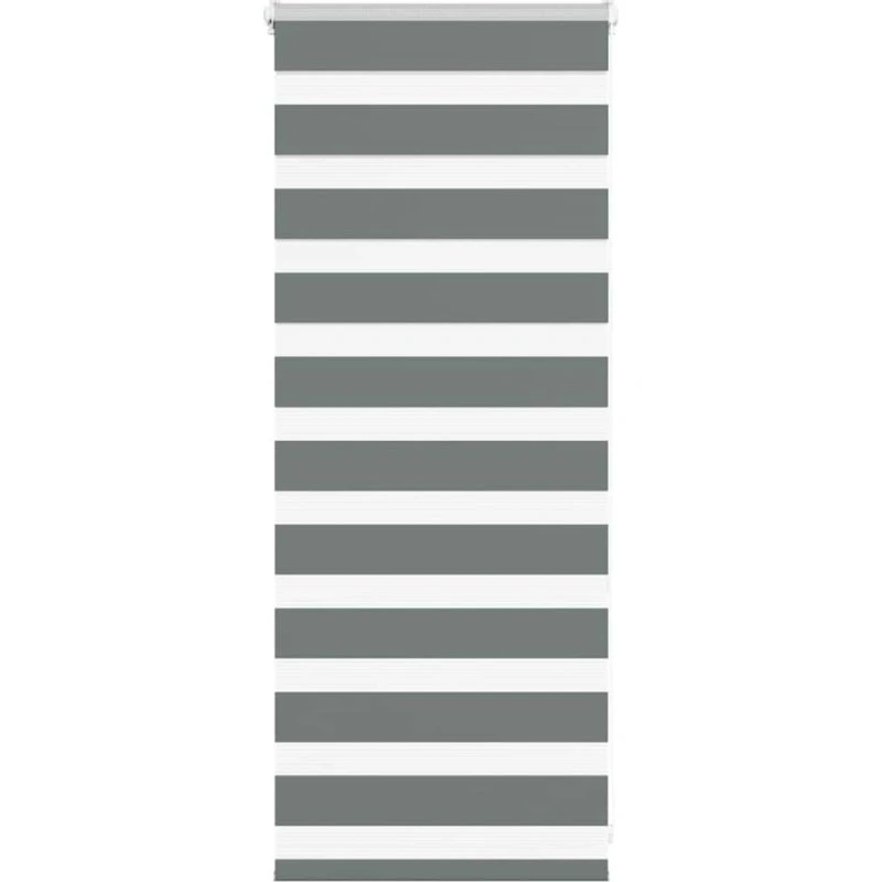 vidaXL Zebragardin Mørkegrå 65x100 cm