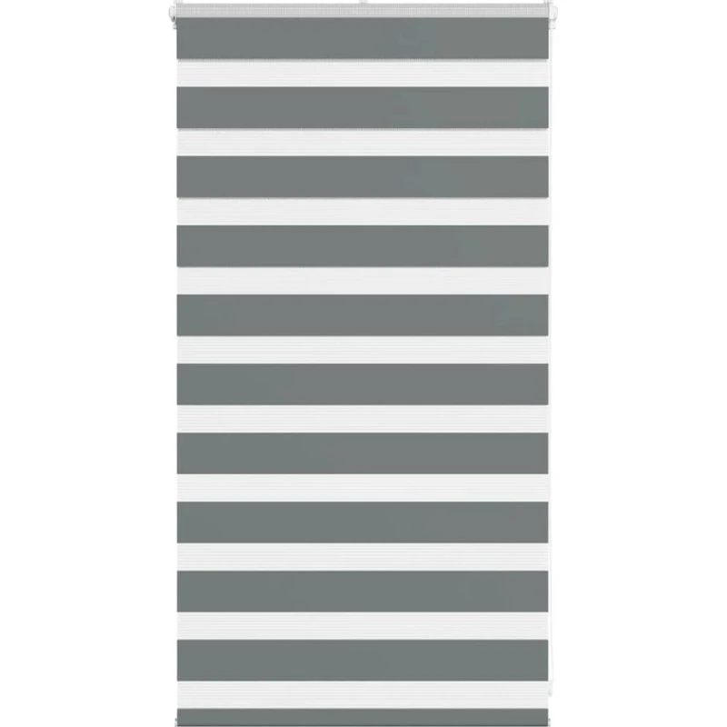 vidaXL Zebragardin Mørkegrå 70x100 cm