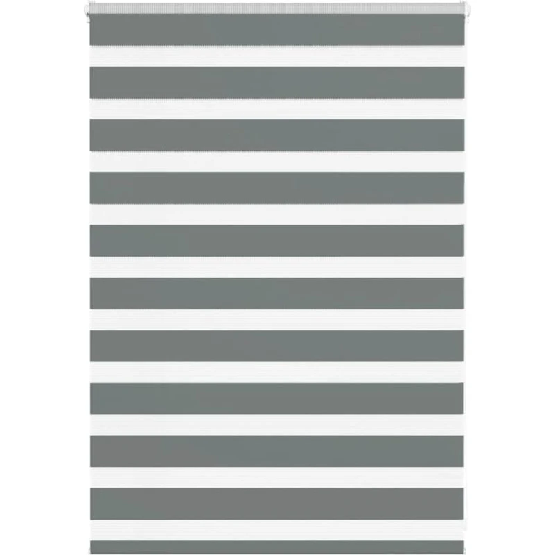 vidaXL Zebragardin Mørkegrå 95x100 cm