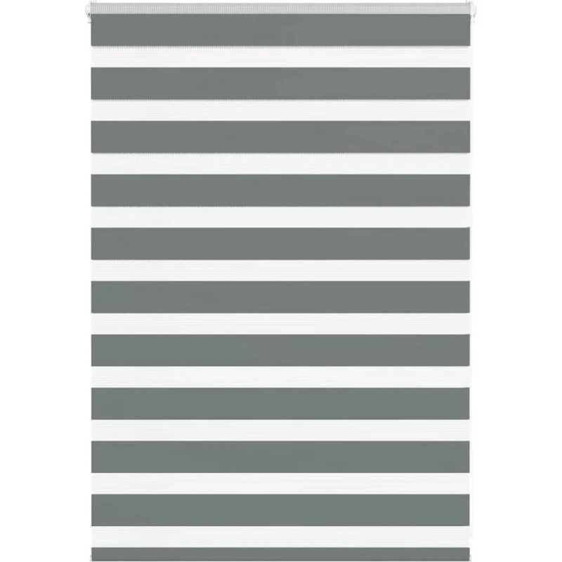 vidaXL Zebragardin mørkegrå 100x100 cm, 95,9 cm bred