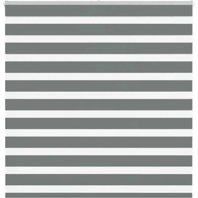 vidaXL Zebragardin Mørkegrå 140x100 cm
