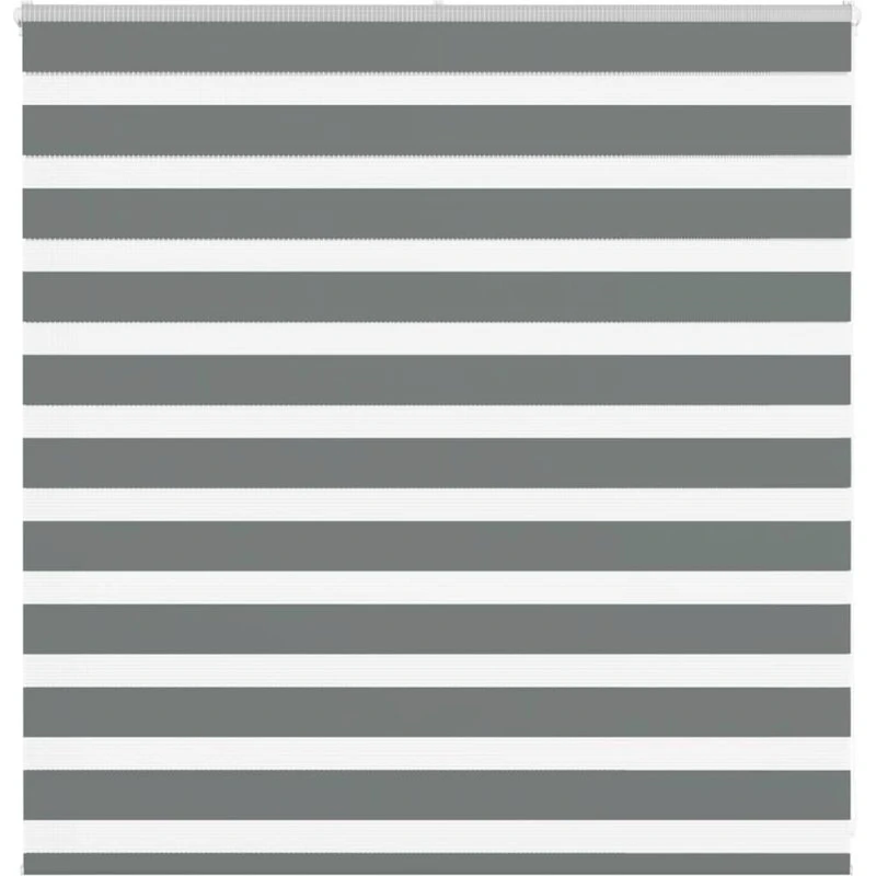 vidaXL Zebragardin Mørkegrå 150x100 cm
