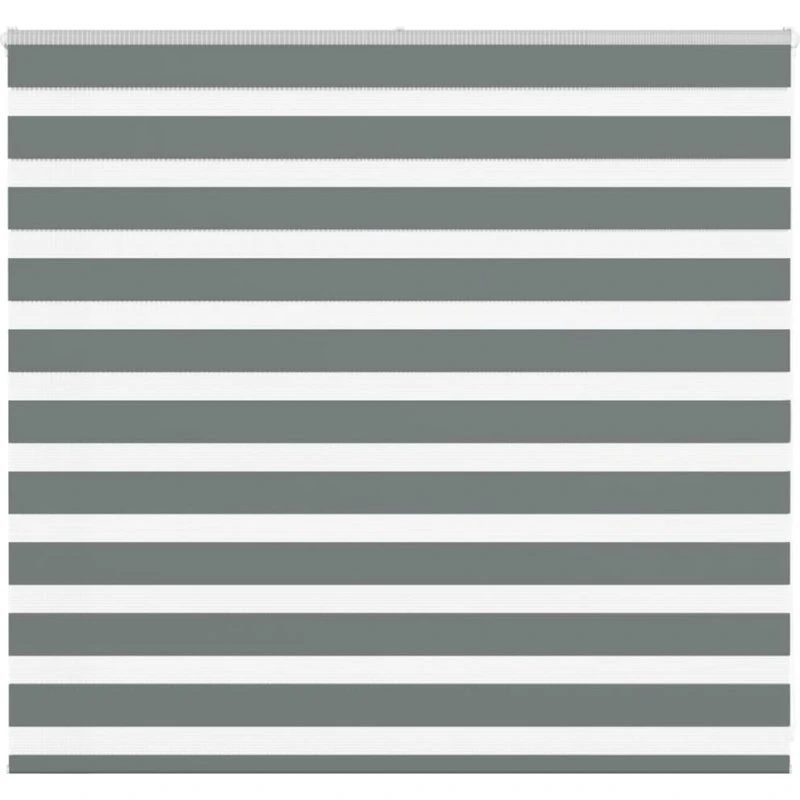 vidaXL Zebragardin Mørkegrå 160x100 cm