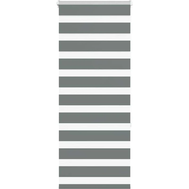 vidaXL Zebragardin Mørkegrå 60x150 cm