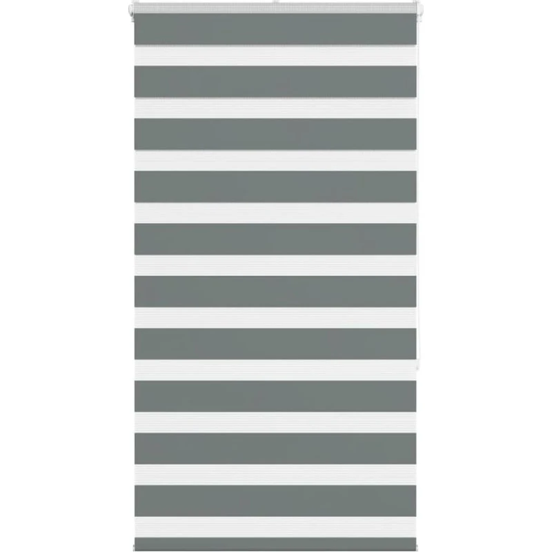 vidaXL Zebragardin mørkegrå 90x150 cm