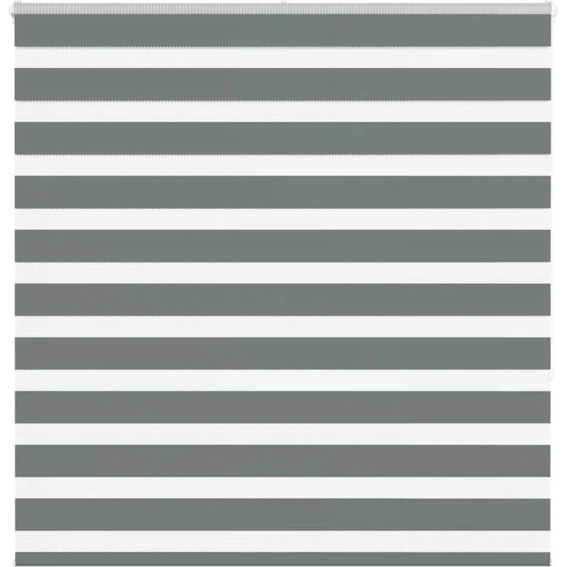 vidaXL Zebragardin Mørkegrå 140x150 cm