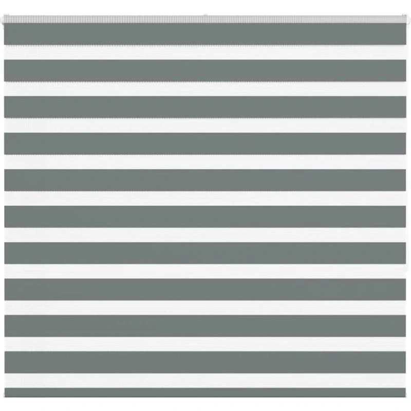 vidaXL Zebragardin Mørkegrå 155x150 cm