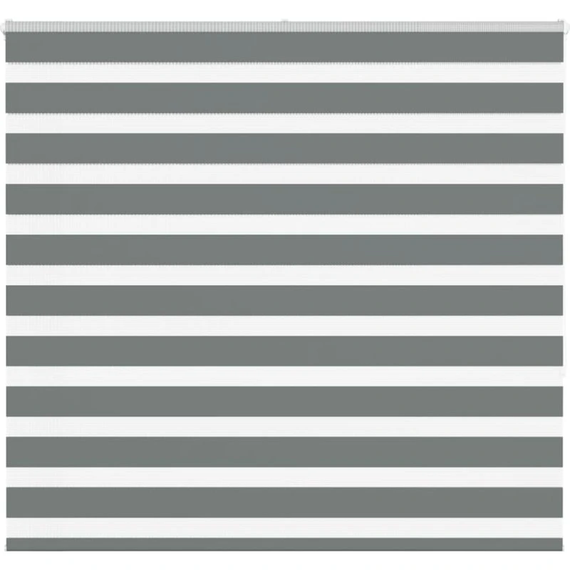 vidaXL Zebragardin Mørkegrå 160x150 cm