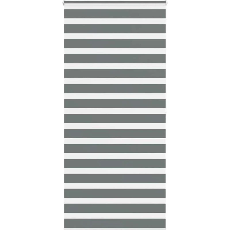 vidaXL Zebragardin Mørkegrå 110x200 cm