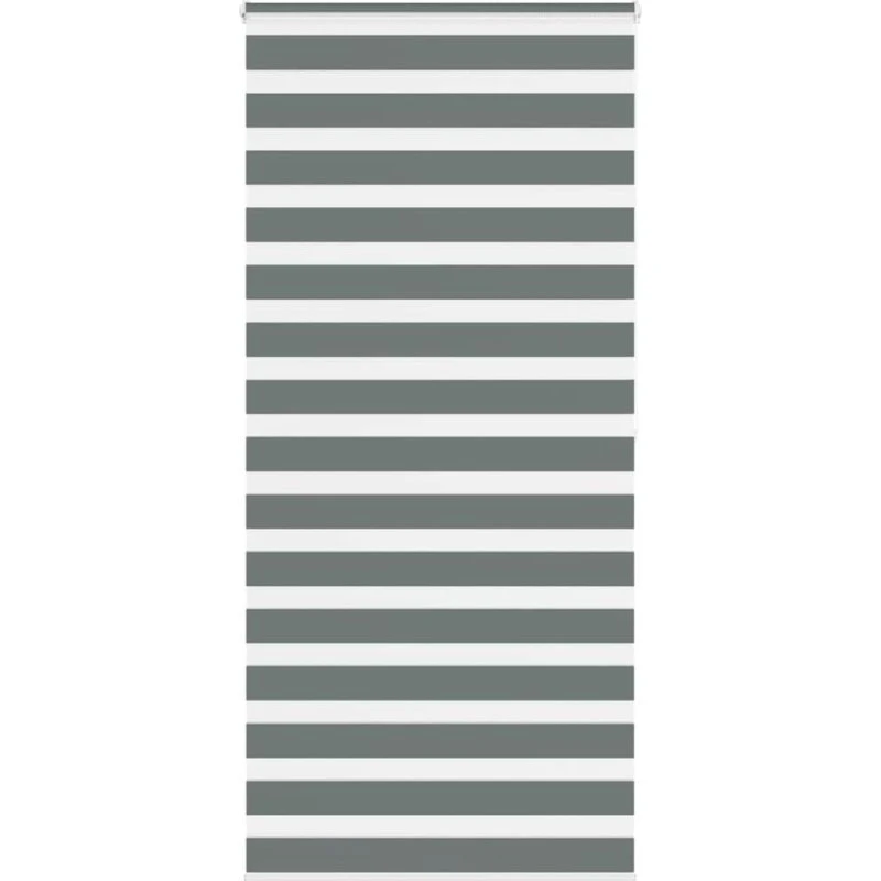 vidaXL Zebragardin Mørkegrå 115x200 cm