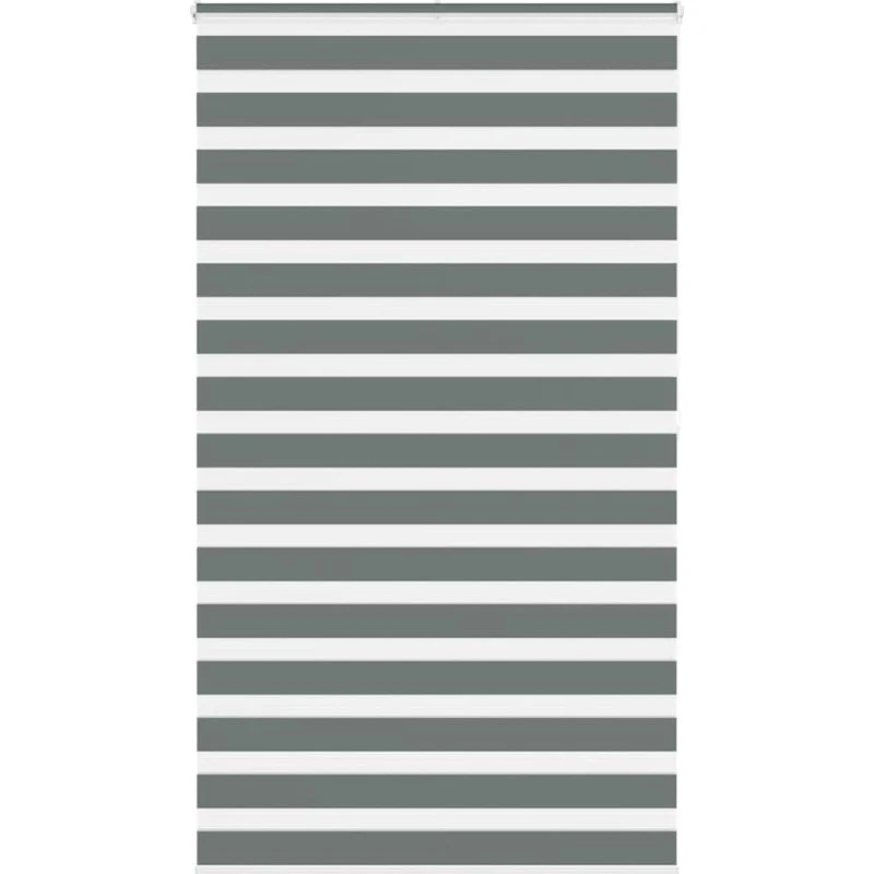 vidaXL Zebragardin Mørkegrå 120x200 cm