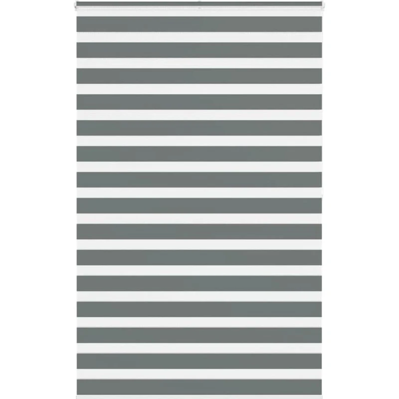 vidaXL Zebragardin mørkegrå 145x200 cm