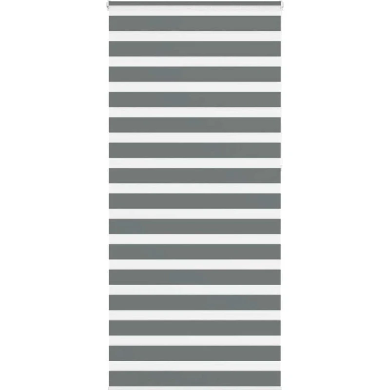 vidaXL Zebragardin Mørkegrå 110x230 cm