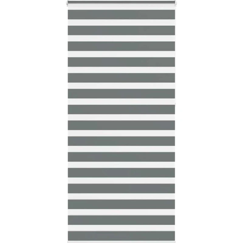 vidaXL Zebragardin Mørkegrå 115x230 cm