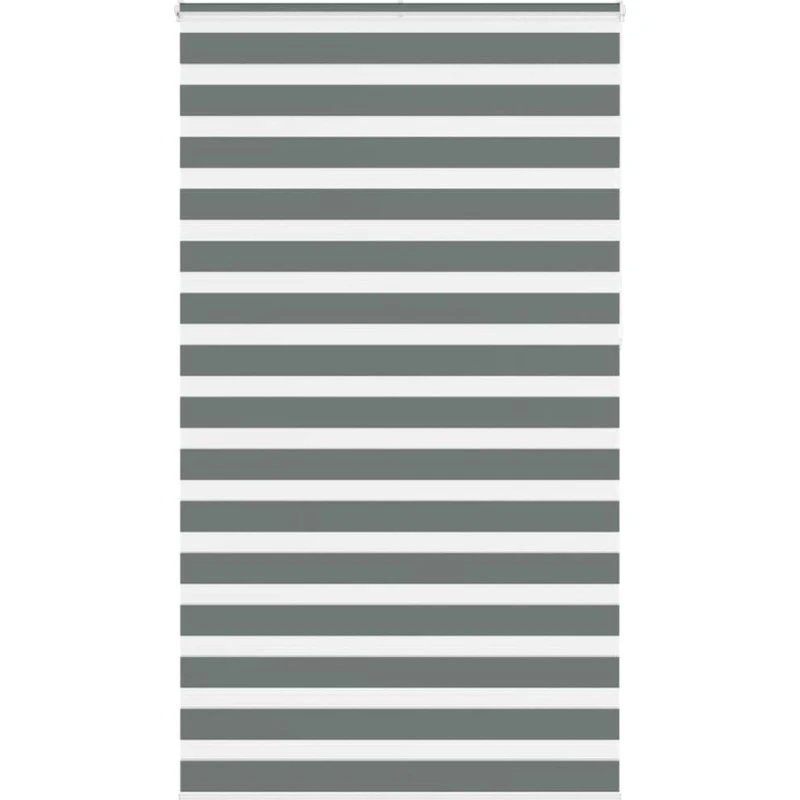 vidaXL Zebragardin mørkegrå 120x230 cm
