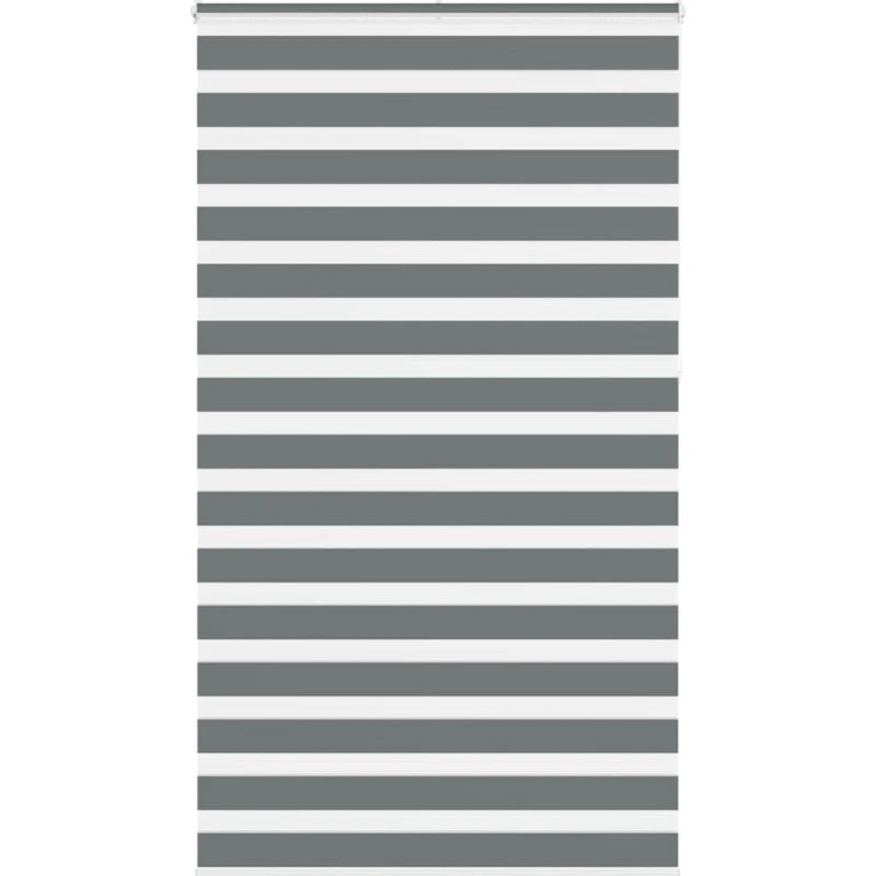 vidaXL Zebragardin Mørkegrå 125x230 cm