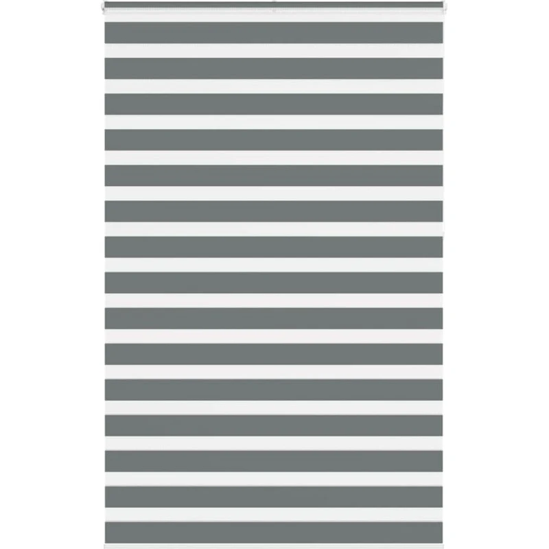 vidaXL Zebragardin Mørkegrå 140x230 cm