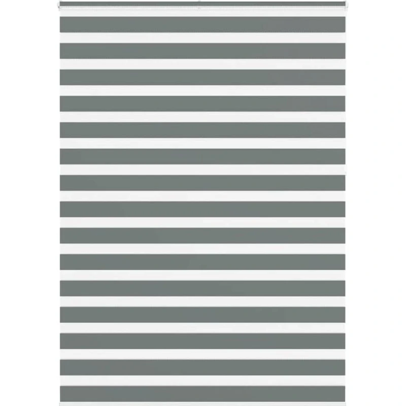 vidaXL Zebragardin Mørkegrå 155x230 cm