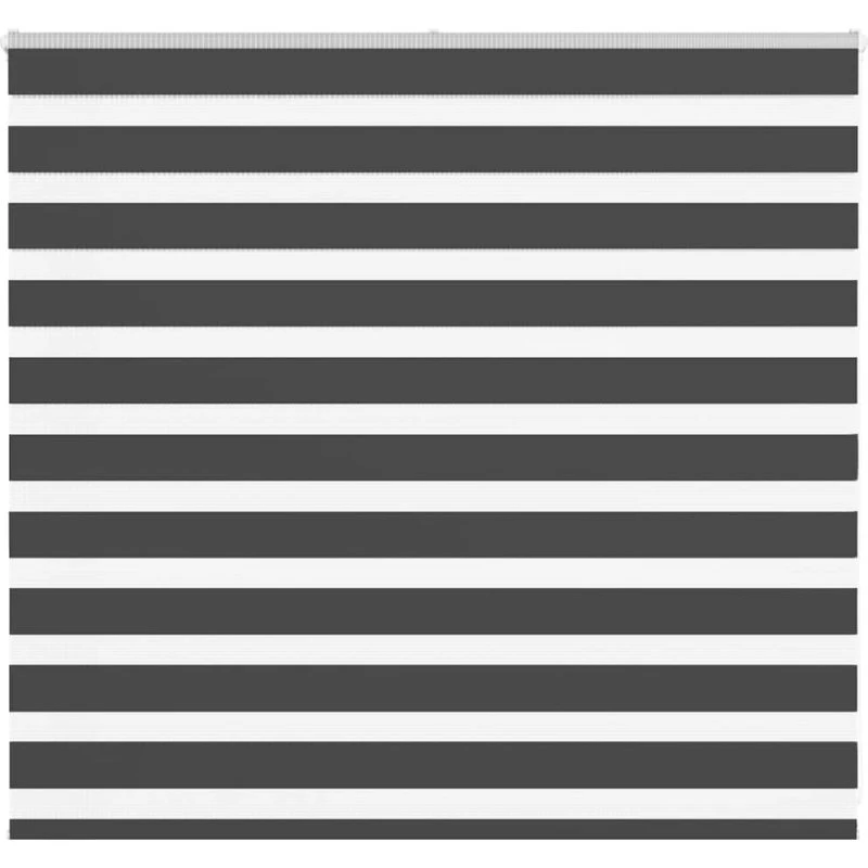 vidaXL Zebragardin Sort 160x100 cm