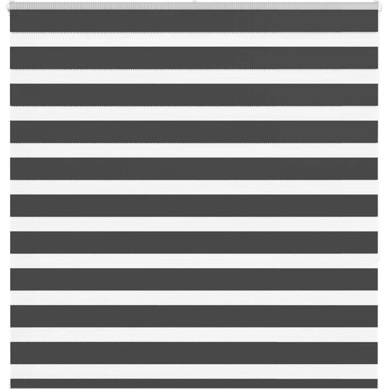 vidaXL Zebragardin Sort 145x150 cm