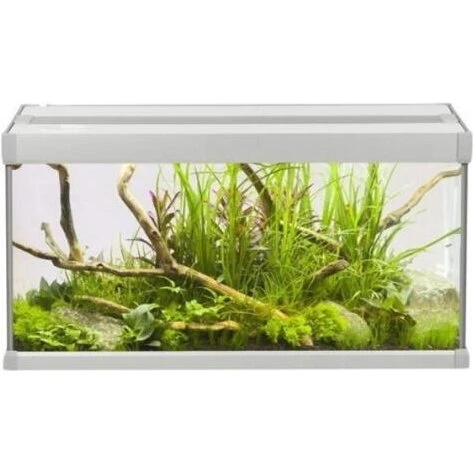 AKVASTABIL Family akvarium 60x30x32 cm 54 L