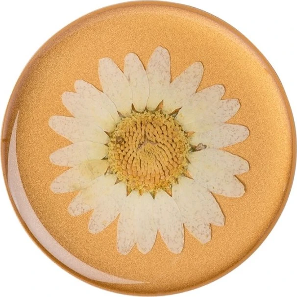 PopSockets PopGrip Premium Pressed Flower White Daisy