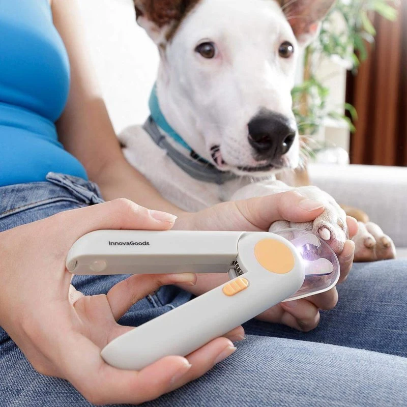 InnovaGoods Kloklipper med LED lys til hund og kat