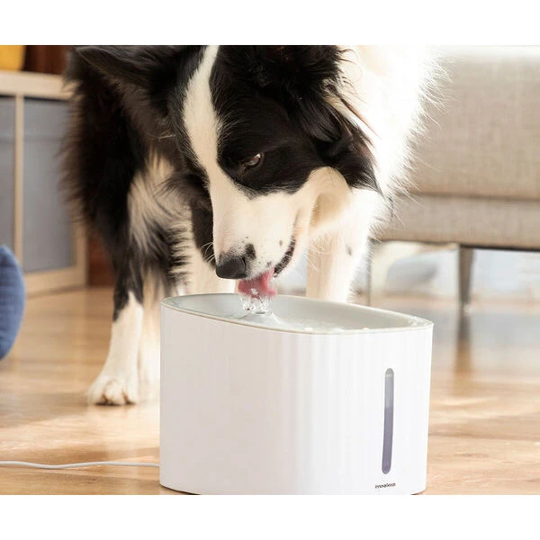 InnovaGoods Drinkatt drikkevandsfontæne til kæledyr