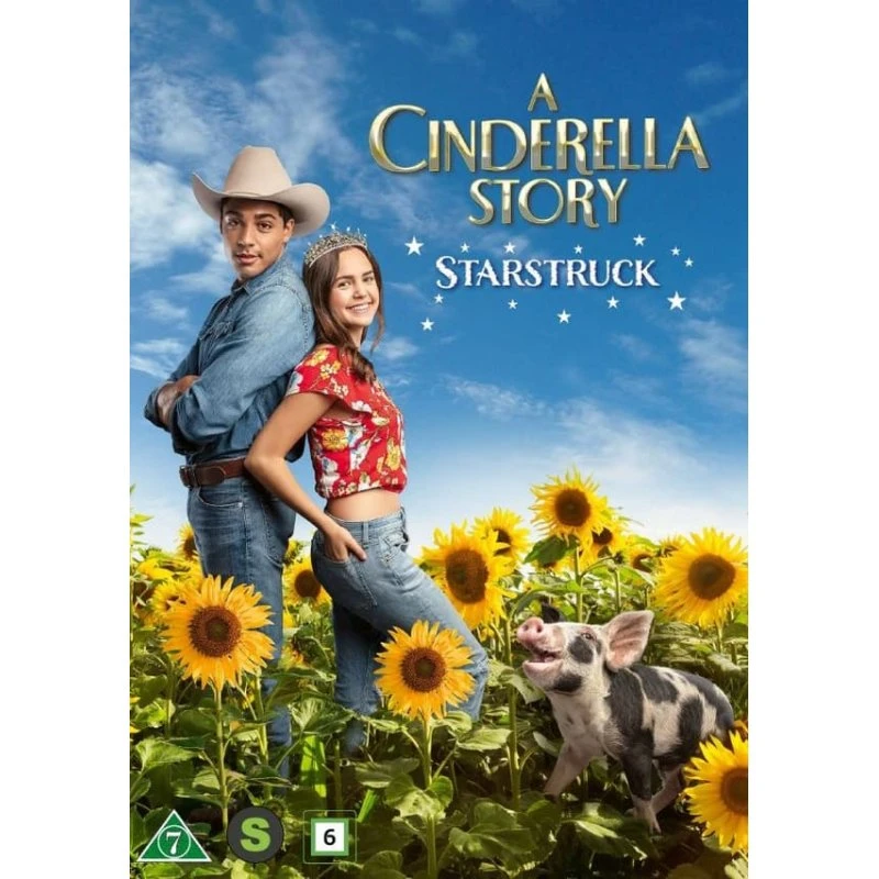 A Cinderella Story: Starstruck - DVD