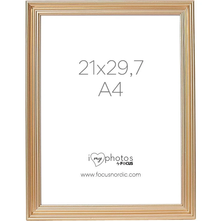 Focus Verona Billedramme 21x29.7 cm Guld